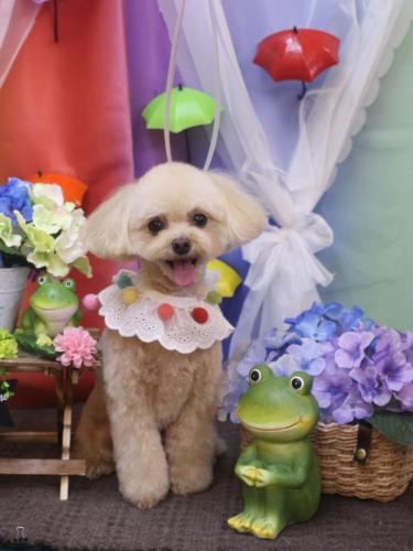 20230608むぎちゃん